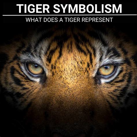 Lsy mascot tiger